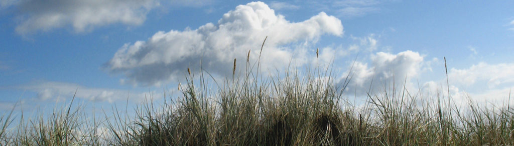 An der Ostsee/Illustration