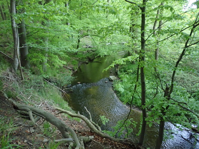 Kleine Abendwanderung (ca. 5 km)