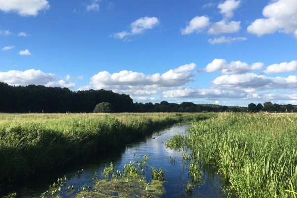 Die Eider, der längste Fluss Schleswig-Holsteins Foto: Dagmar Falk