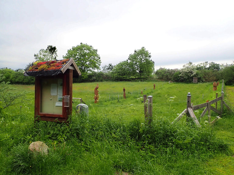 2-tägiges Rad-Trekking auf der Schwansener Halbinsel (Schlei) 3.7.-4.7.2021