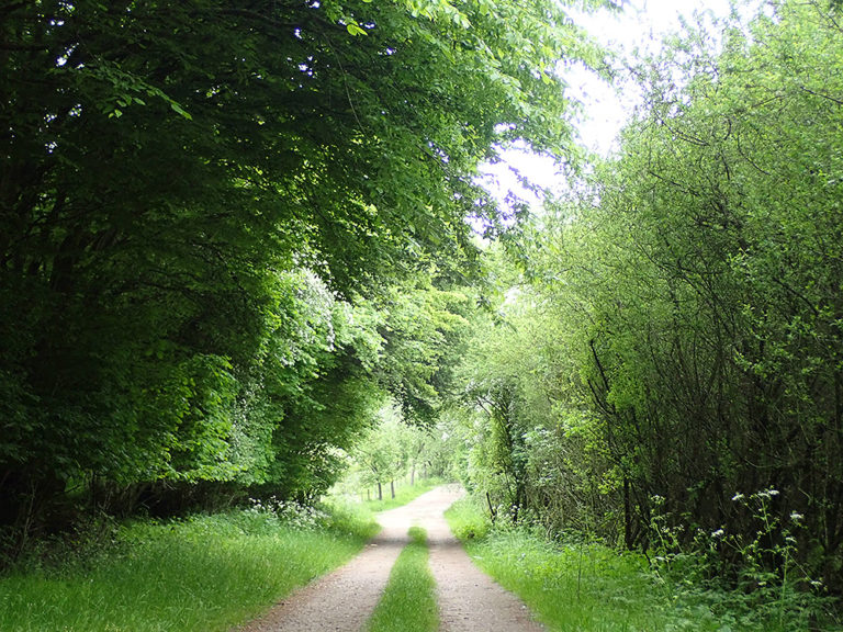 Auf der Nehrung zwischen See und Ostsee / Foto: Dagmar Falk