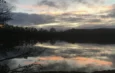 Abend am See © Dagmar Falk