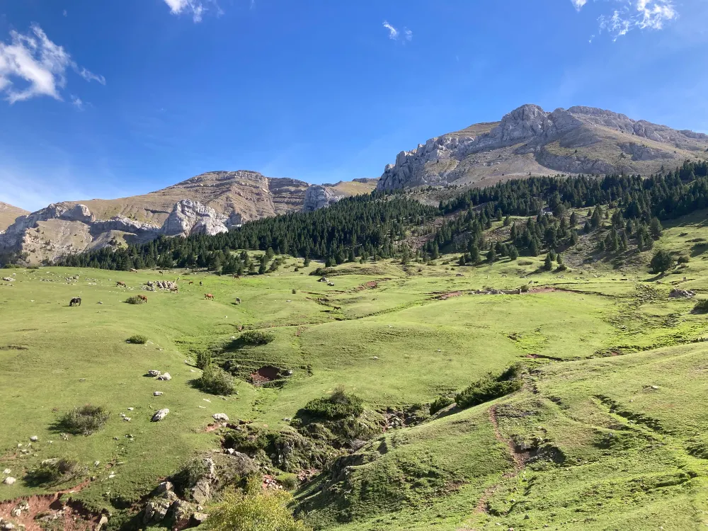 Pyrenäen2 Prat d'Aguiló © Dagmar Falk