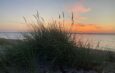 Strand am Meer mit Sonnenuntergang Foto-Dagmar Falk