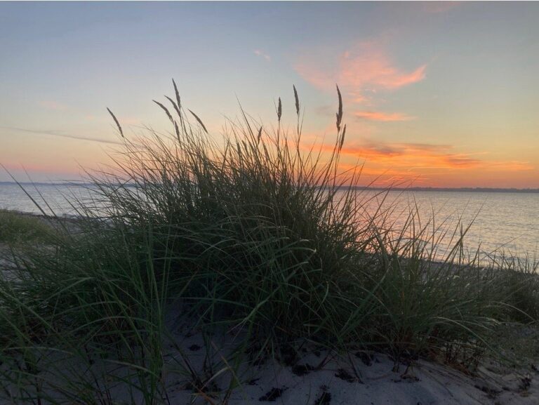 Strand am Meer mit Sonnenuntergang Foto-Dagmar Falk