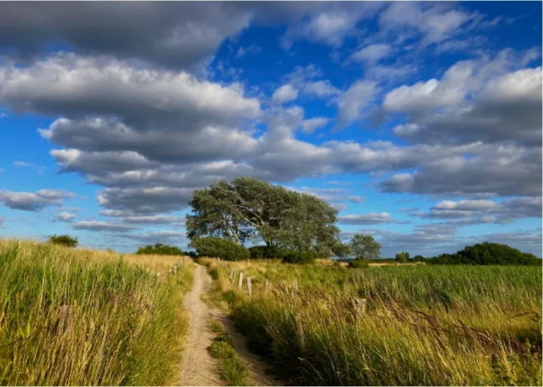 einfachwandern in SH Foto: Dagmar Falk