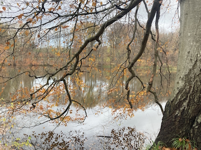 7.12.2025 kleine Wanderung mit Kunst, Kultur & Genuss